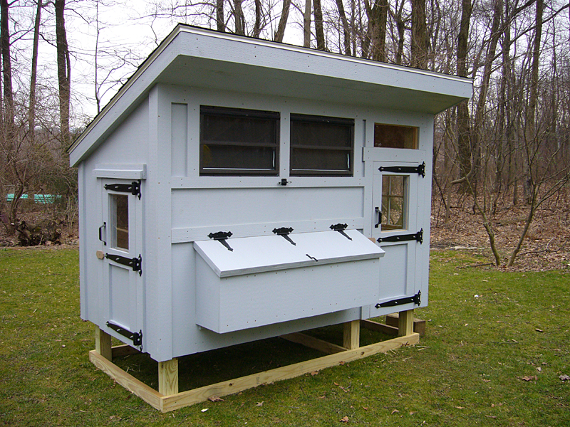 Chicken Coop Plans For 10 Chickens Chicken coop construction